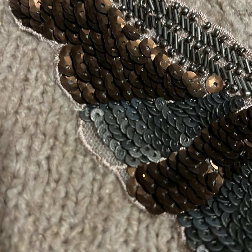 ZARA Sweater with Sequin Butterfly Appliqué - Picture 4 of 4